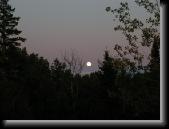 Isle Royale (262) * 640 x 480 * (54KB)