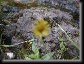 Isle Royale (329) * 640 x 480 * (61KB)