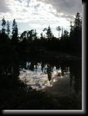 Isle Royale (63) * 480 x 640 * (150KB)