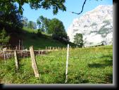 Lauterbrunnen Valley (81) * 1024 x 768 * (424KB)